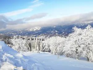 Straja Resort