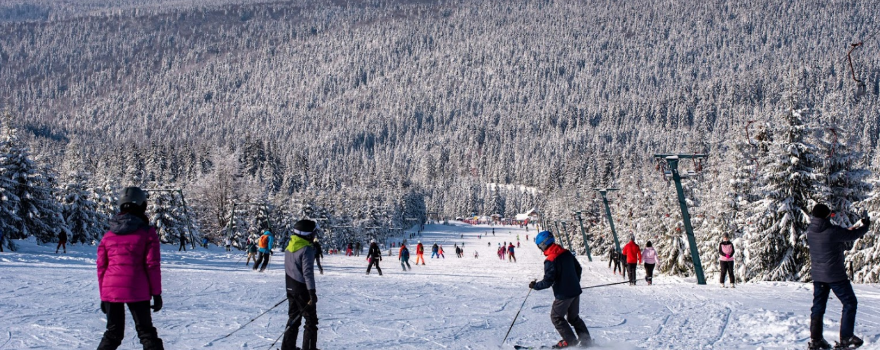 Bucsin Ski Resort