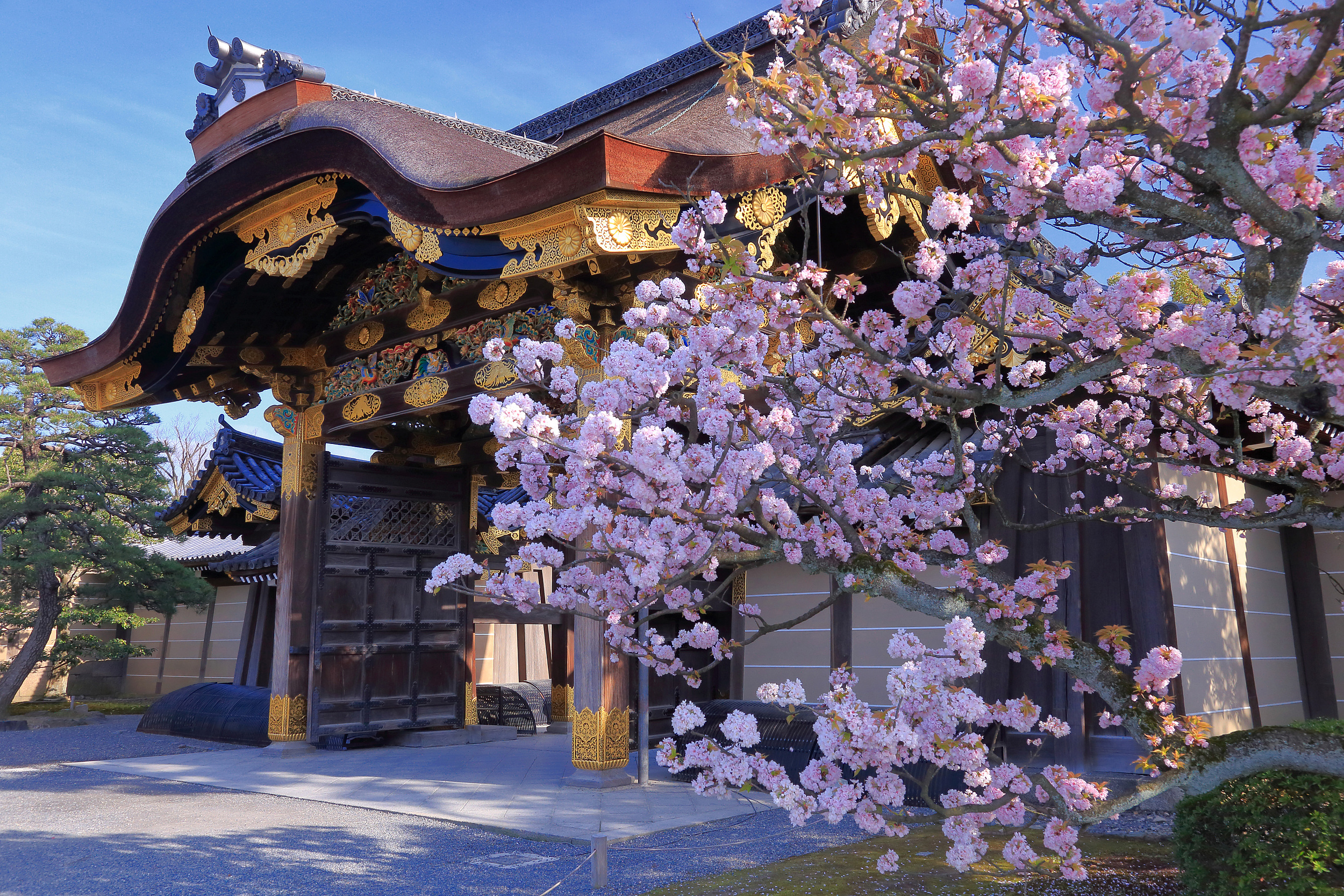 Замок Нидзо