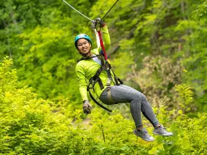 Brainerd Zip Line Tour