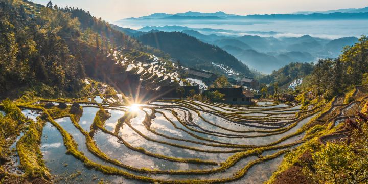 Ziquejie Terraces