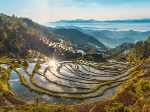 Ziquejie Terraces