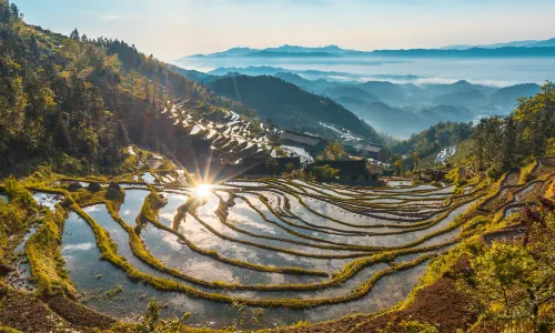 Ziquejie Terraces