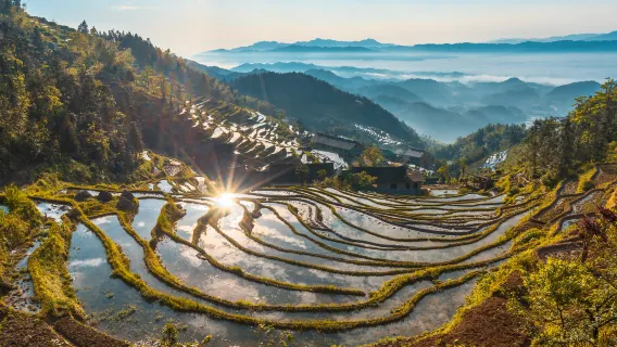 玩水避暑