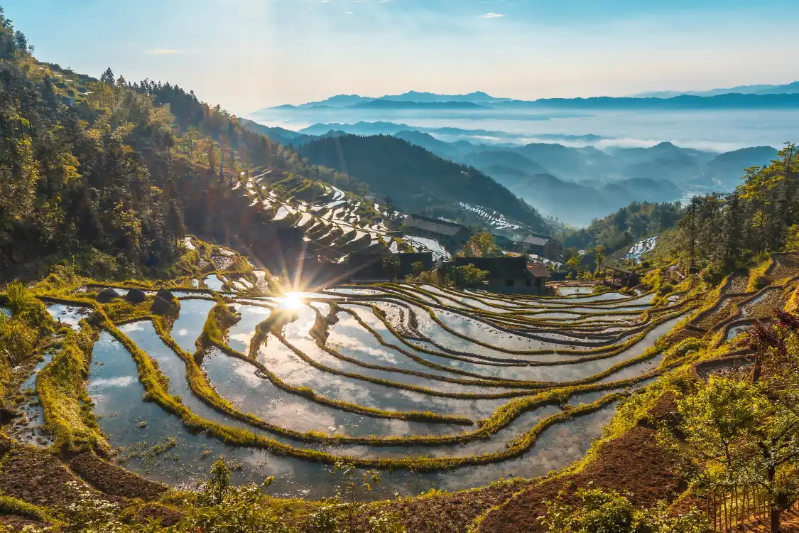 Hotels near Ziquejie Terraces