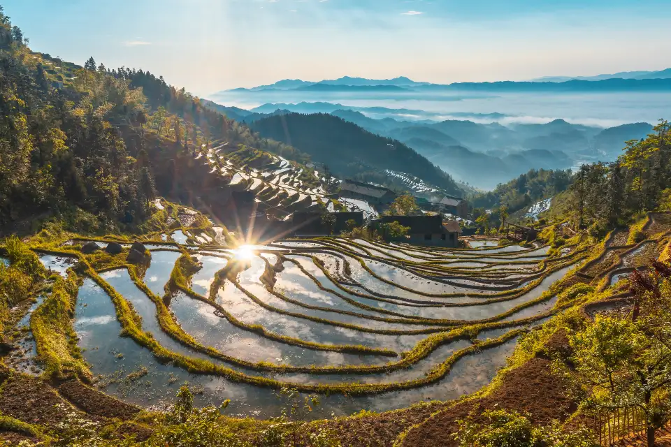 1_Ziquejie Terraces