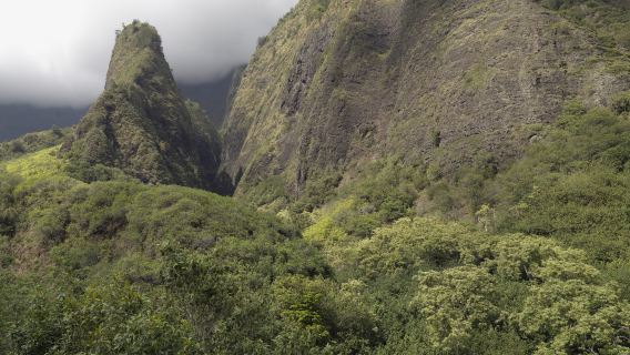 ʻĪao Valley State Monument