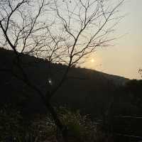 #親子游#馬鞍山郊野公園 | 第一次三姐妹一齊行山
