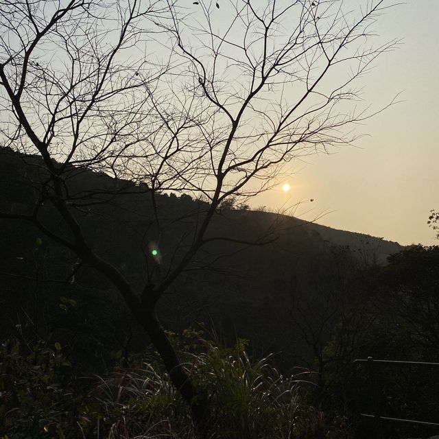 #親子游#馬鞍山郊野公園 | 第一次三姐妹一齊行山