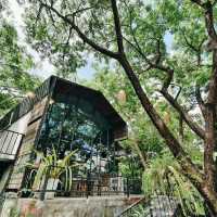 คาเฟ่บรรยากาศ​ธรรมชาติ​