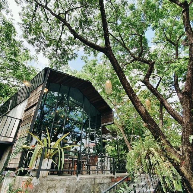 คาเฟ่บรรยากาศ​ธรรมชาติ​