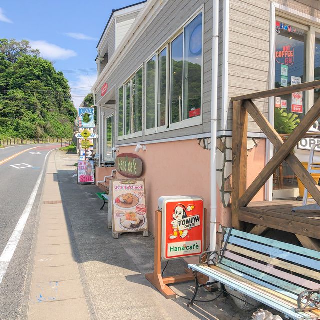 水質良好な伊豆の海