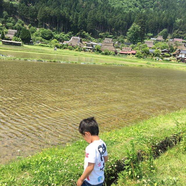 京都旅行！かやぶきの里•美山町へ！