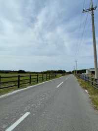 黒島　道コレクション