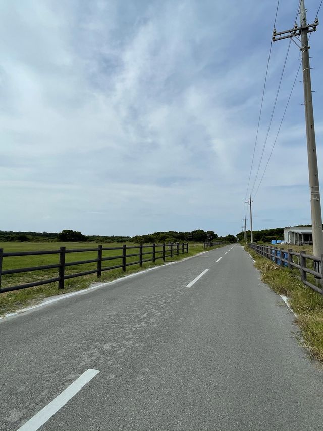 黒島　道コレクション