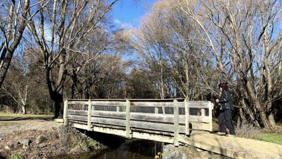 Dog Stream Reserve