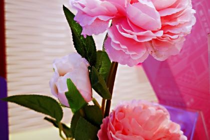 GANSO元祖食品(东台店)