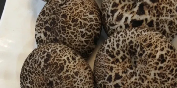 李家菜精品中餐