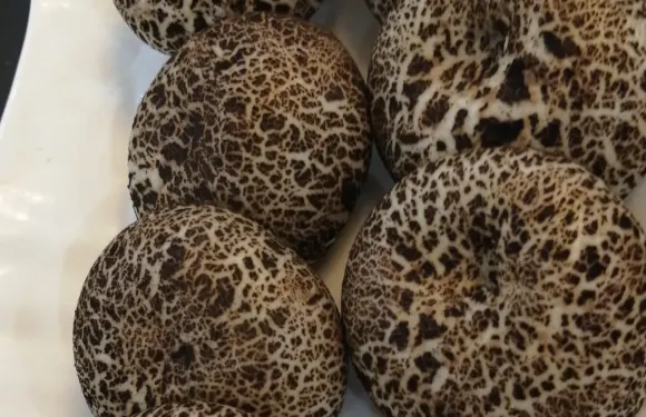 李家菜精品中餐