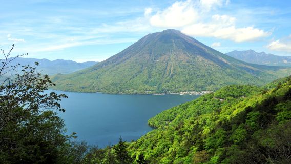 1-day tour to Nikko Toshogu Shrine + Lake Chūzenji + Kegon Waterfalls: includes admission ticket and hot spring fee
