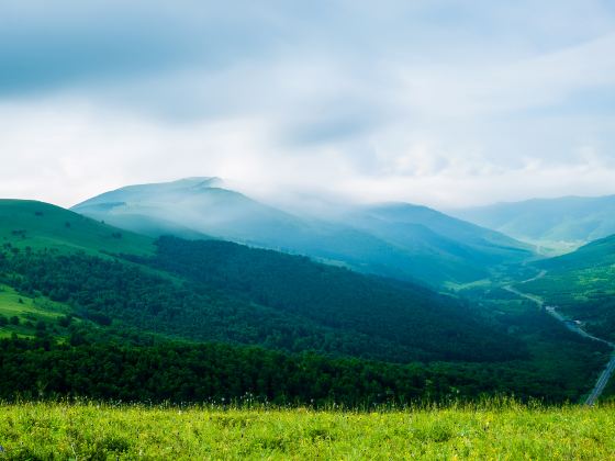 Huanggangliang Nature Reserve