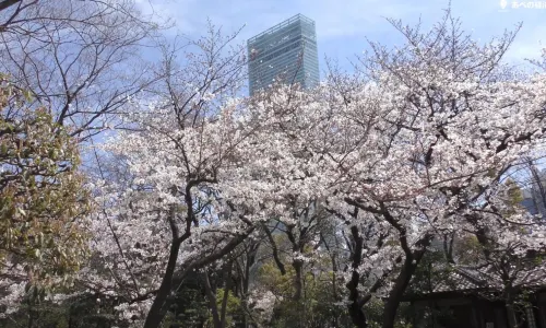 Parc de Tennoji