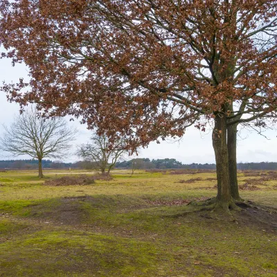 2-звездочные отели в г. Читван