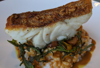 FLYING FISH User Photo