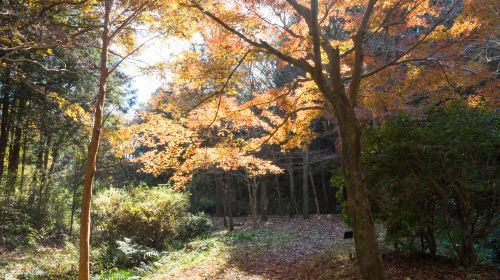 長風公園