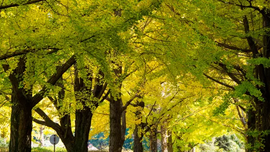 Nakajima Park