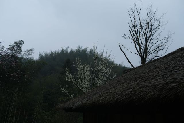 Taohuayuan (“Peach Blossom Land”)