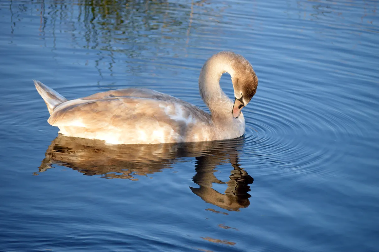 5_Wolfgangsee Lake