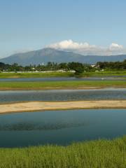 Mud Flat of Hong Kong Wetland Park