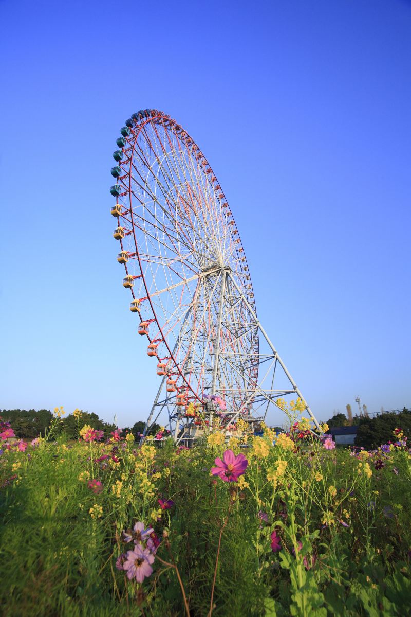 曼谷夜市摩天輪