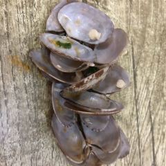 開心花甲粉張用戶圖片