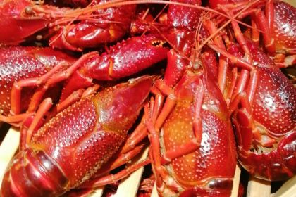 川汇龙虾·羊蝎子·羊棒骨