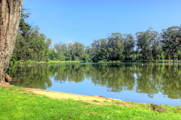 Vé máy bay Puebla TP. Hồ Chí Minh