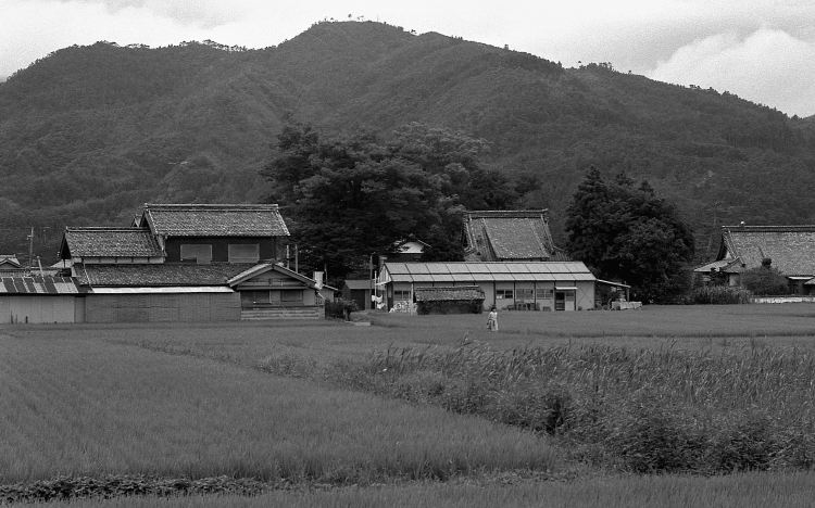 Compare 5 airports near Suzuka
