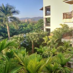 西双版纳洲际度假酒店海鲜傣味烧烤·侬香全日制餐厅 User Photo