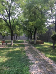 Tai'an Agricultural Sciences Academy Taishan Botanical Garden