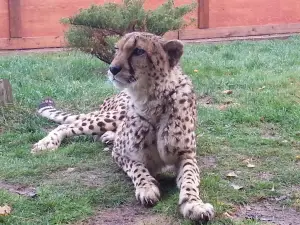 オークローン・ファーム動物園