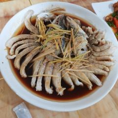 煲来饱去冷水鱼 User Photo