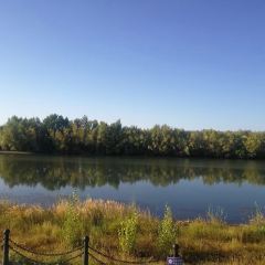 金驼铃西域餐厅 User Photo