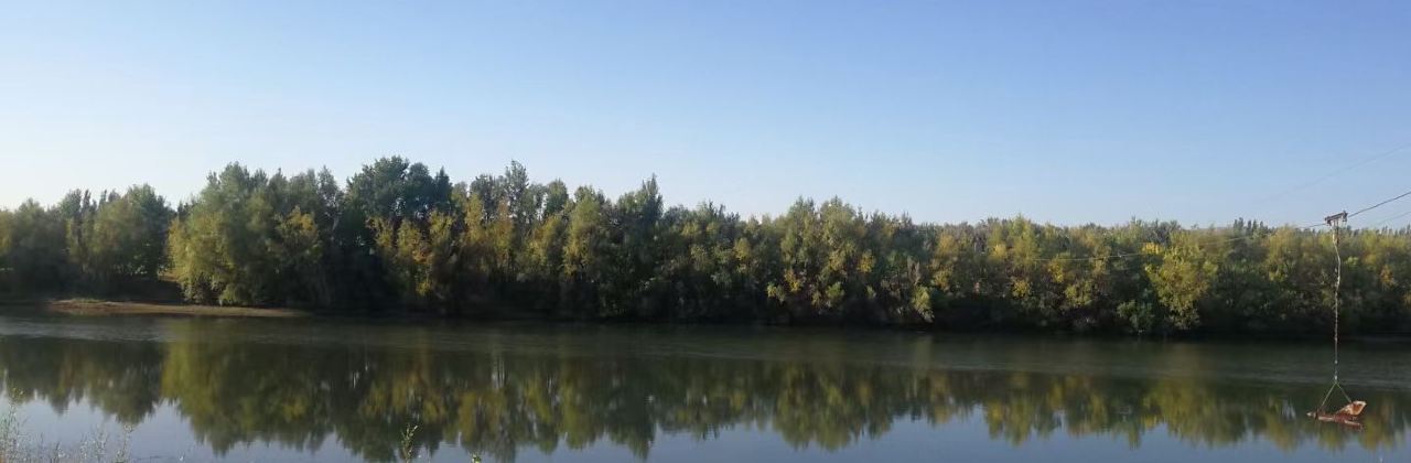 金驼铃西域餐厅