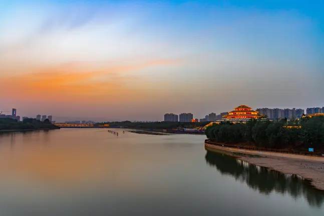 Khách Sạn Pet friendly Tại Thằng Trì