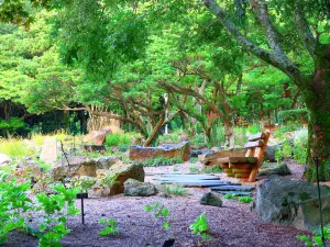 Halla Arboretum, Jeju Island,S.Korea