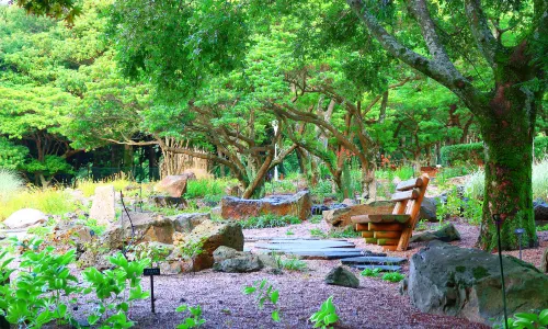 Halla Arboretum, Jeju Island,S.Korea