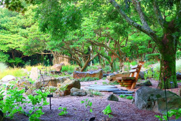 Halla Arboretum, Jeju Island,S.Korea