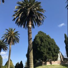 George Street Fish Restaurant & Chip Shop User Photo