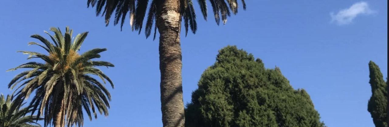 George Street Fish Restaurant & Chip Shop